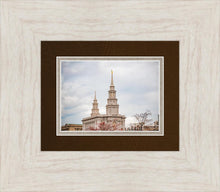 Load image into Gallery viewer, Philadelphia Freedom
