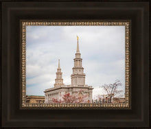 Load image into Gallery viewer, Philadelphia Freedom
