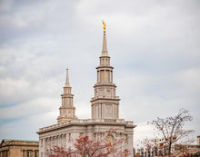 Load image into Gallery viewer, Philadelphia Freedom
