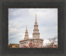 Load image into Gallery viewer, Philadelphia Freedom
