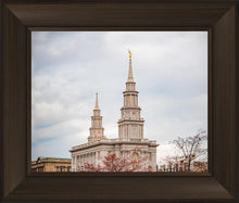 Load image into Gallery viewer, Philadelphia Freedom
