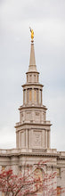 Load image into Gallery viewer, Philadelphia Freedom
