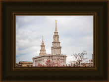 Load image into Gallery viewer, Philadelphia Freedom

