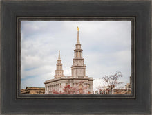 Load image into Gallery viewer, Philadelphia Freedom
