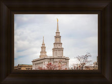 Load image into Gallery viewer, Philadelphia Freedom
