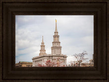 Load image into Gallery viewer, Philadelphia Freedom
