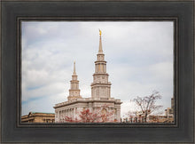 Load image into Gallery viewer, Philadelphia Freedom
