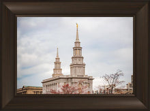 Load image into Gallery viewer, Philadelphia Freedom
