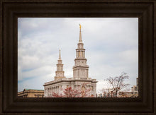 Load image into Gallery viewer, Philadelphia Freedom
