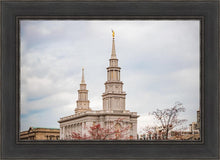 Load image into Gallery viewer, Philadelphia Freedom

