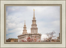 Load image into Gallery viewer, Philadelphia Freedom
