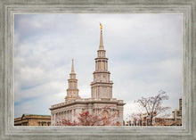 Load image into Gallery viewer, Philadelphia Freedom
