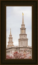 Load image into Gallery viewer, Philadelphia Freedom
