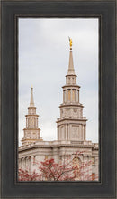 Load image into Gallery viewer, Philadelphia Freedom
