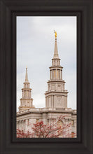 Load image into Gallery viewer, Philadelphia Freedom
