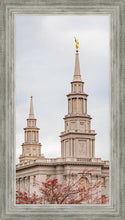 Load image into Gallery viewer, Philadelphia Freedom
