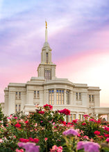 Load image into Gallery viewer, Payson Utah Tiptoe Through The Roses
