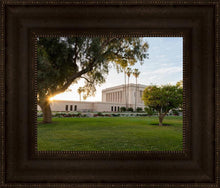 Load image into Gallery viewer, Mesa Arizona Shining On
