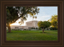 Load image into Gallery viewer, Mesa Arizona Shining On
