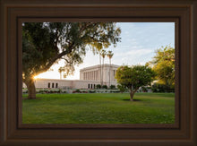 Load image into Gallery viewer, Mesa Arizona Shining On
