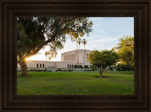 Load image into Gallery viewer, Mesa Arizona Shining On
