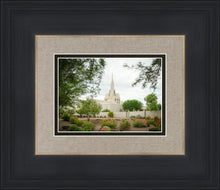 Load image into Gallery viewer, Phoenix Spring Blooms
