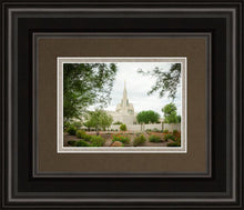 Load image into Gallery viewer, Phoenix Spring Blooms
