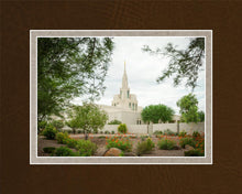 Load image into Gallery viewer, Phoenix Spring Blooms
