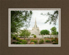 Load image into Gallery viewer, Phoenix Spring Blooms
