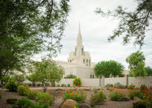 Load image into Gallery viewer, Phoenix Spring Blooms
