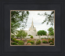 Load image into Gallery viewer, Phoenix Spring Blooms
