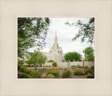 Load image into Gallery viewer, Phoenix Spring Blooms
