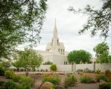 Load image into Gallery viewer, Phoenix Spring Blooms
