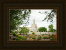 Load image into Gallery viewer, Phoenix Spring Blooms
