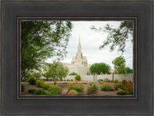 Load image into Gallery viewer, Phoenix Spring Blooms
