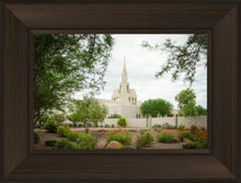 Load image into Gallery viewer, Phoenix Spring Blooms
