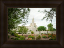 Load image into Gallery viewer, Phoenix Spring Blooms

