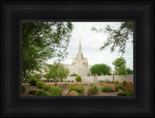 Load image into Gallery viewer, Phoenix Spring Blooms
