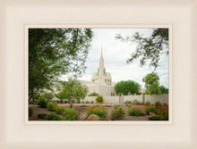 Load image into Gallery viewer, Phoenix Spring Blooms

