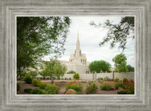 Load image into Gallery viewer, Phoenix Spring Blooms
