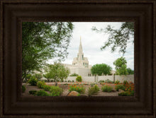 Load image into Gallery viewer, Phoenix Spring Blooms
