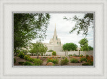 Load image into Gallery viewer, Phoenix Spring Blooms
