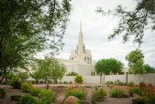 Load image into Gallery viewer, Phoenix Spring Blooms

