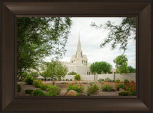 Load image into Gallery viewer, Phoenix Spring Blooms
