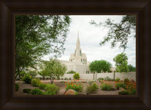 Load image into Gallery viewer, Phoenix Spring Blooms
