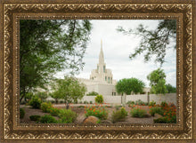 Load image into Gallery viewer, Phoenix Spring Blooms
