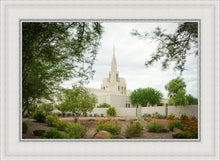 Load image into Gallery viewer, Phoenix Spring Blooms
