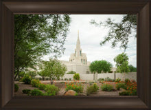 Load image into Gallery viewer, Phoenix Spring Blooms

