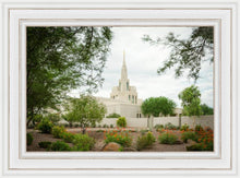 Load image into Gallery viewer, Phoenix Spring Blooms
