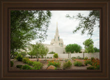 Load image into Gallery viewer, Phoenix Spring Blooms

